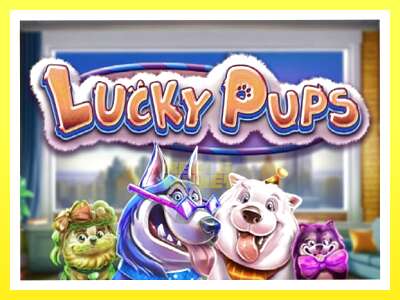 गेमिङ मेसिन Lucky Pups - वास्तविक पैसाको लागि खेल्नुहोस्