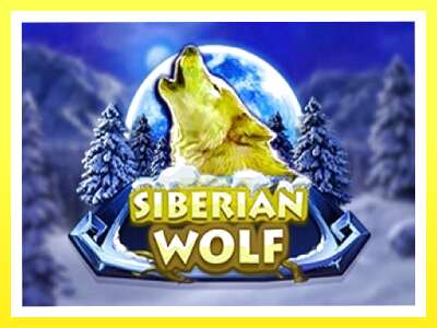 गेमिङ मेसिन Siberian Wolf - वास्तविक पैसाको लागि खेल्नुहोस्