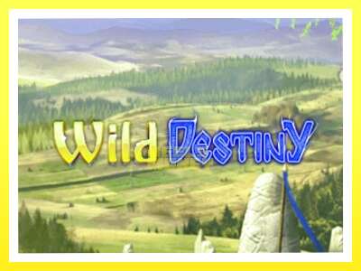 गेमिङ मेसिन Wild Destiny - वास्तविक पैसाको लागि खेल्नुहोस्